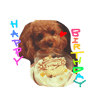 cocoa and milk（個別スタンプ：2）