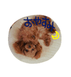 cocoa and milk（個別スタンプ：8）
