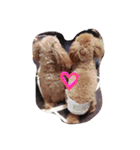 cocoa and milk（個別スタンプ：15）