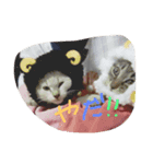 MAMEPUKU23（個別スタンプ：8）