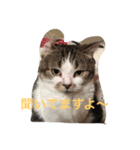 bacchan（個別スタンプ：3）