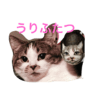 bacchan（個別スタンプ：8）