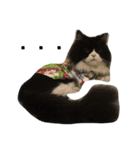 Louis The Cat（個別スタンプ：8）