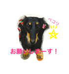 アナの日常（個別スタンプ：5）