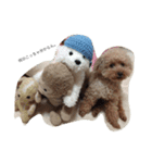 愛犬といチョコちゃん（個別スタンプ：5）