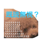 いつでもどこでもおぬくさん2（個別スタンプ：2）