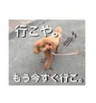 いつでもどこでもおぬくさん2（個別スタンプ：3）