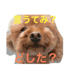 いつでもどこでもおぬくさん2（個別スタンプ：4）