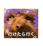 いつでもどこでもおぬくさん2（個別スタンプ：5）