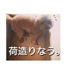 いつでもどこでもおぬくさん2（個別スタンプ：6）