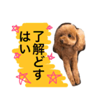 いつでもどこでもおぬくさん2（個別スタンプ：9）