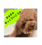 いつでもどこでもおぬくさん2（個別スタンプ：10）