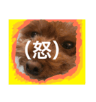 いつでもどこでもおぬくさん2（個別スタンプ：11）
