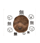 いつでもどこでもおぬくさん2（個別スタンプ：12）