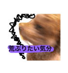 いつでもどこでもおぬくさん2（個別スタンプ：14）