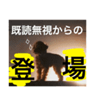 いつでもどこでもおぬくさん2（個別スタンプ：15）