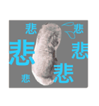 いつでもどこでもおぬくさん2（個別スタンプ：16）