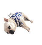 She is Ame 2（個別スタンプ：8）