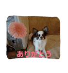 お茶目なGONN 2（個別スタンプ：1）