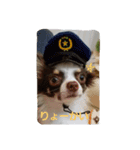 お茶目なGONN 2（個別スタンプ：4）