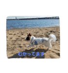 お茶目なGONN 2（個別スタンプ：6）