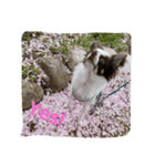 お茶目なGONN 2（個別スタンプ：7）