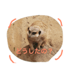日常の一コマより（個別スタンプ：1）