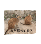 日常の一コマより（個別スタンプ：4）