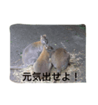 日常の一コマより（個別スタンプ：6）
