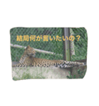 日常の一コマより（個別スタンプ：8）