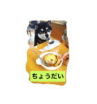 黒柴ガブくん（個別スタンプ：15）