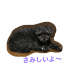 黒い小犬の日常あいづち（個別スタンプ：4）
