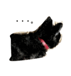 黒い小犬の日常あいづち（個別スタンプ：14）