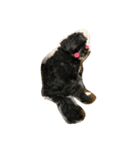 黒い小犬の日常あいづち（個別スタンプ：17）