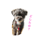 黒い小犬の日常あいづち（個別スタンプ：18）