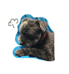 黒い小犬の日常あいづち（個別スタンプ：20）