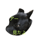 kurosukeKai（個別スタンプ：2）