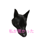 kurosukeKai（個別スタンプ：3）