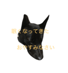 kurosukeKai（個別スタンプ：5）