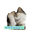 mint LOVE（個別スタンプ：8）