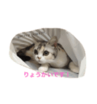 mint LOVE（個別スタンプ：10）