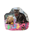 あらちくんといっしょ（個別スタンプ：1）