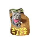 あらちくんといっしょ（個別スタンプ：3）