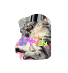 あらちくんといっしょ（個別スタンプ：5）