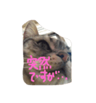 あらちくんといっしょ（個別スタンプ：9）