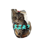 あらちくんといっしょ（個別スタンプ：13）