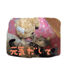 あらちくんといっしょ（個別スタンプ：14）