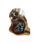 あらちくんといっしょ（個別スタンプ：19）