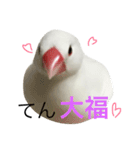 白文鳥のてんちゃん（個別スタンプ：2）