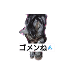 日常にゃい話（個別スタンプ：2）
